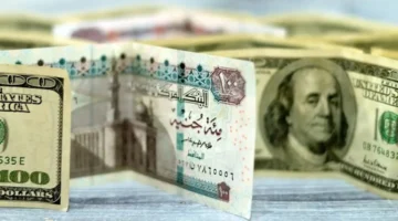 متوسط سعر الدولار في مصر يتصدر حركة السوق اليوم